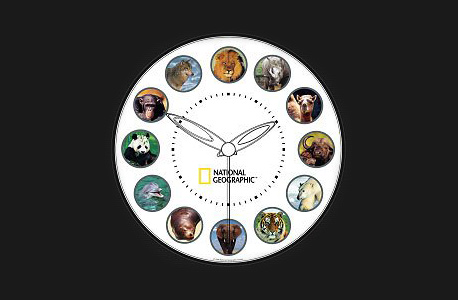 animalclock